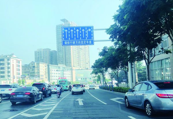 路边网形交通标线,路沿黄黑交通标线图解大全