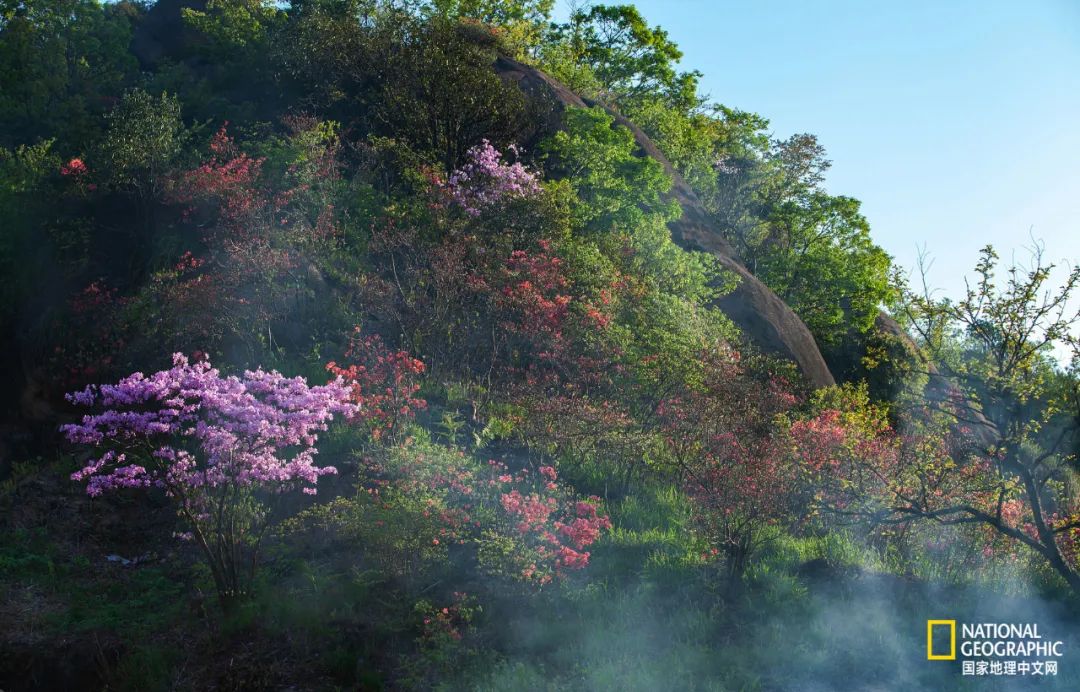 九华山不能去后山吗,九华山必须要爬吗