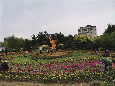 为如东文明城市建设增光添彩,创建文明城市爱护美丽公园