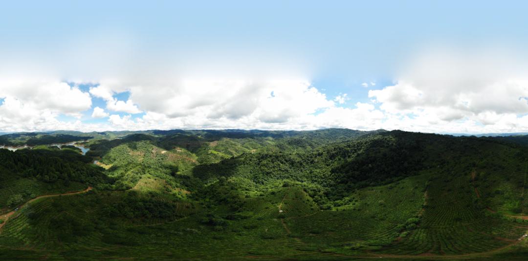 陈年古董普洱茶,普洱生茶老古董茶