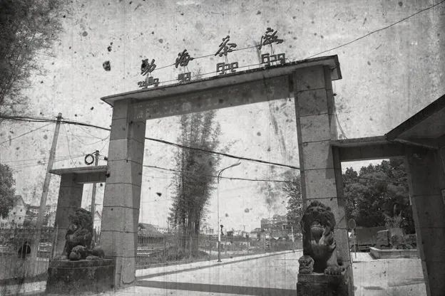 陈年古董普洱茶,普洱生茶老古董茶