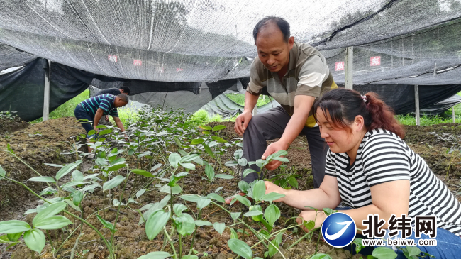 一心一意助农增产增收,一心一意为农民服务