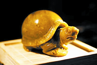 恐龙时期植物桫椤,亿万年前恐龙同时代的蕨类植物