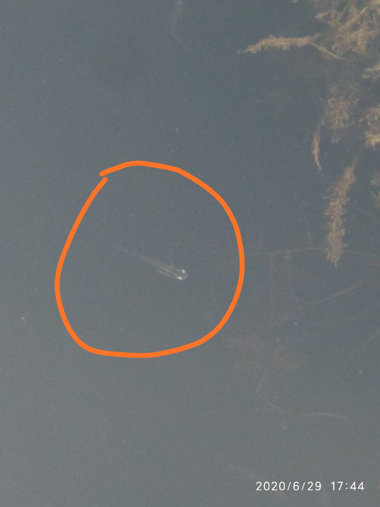 春季雨后初晴钓鱼钓深还是钓浅,雨后钓鱼情况