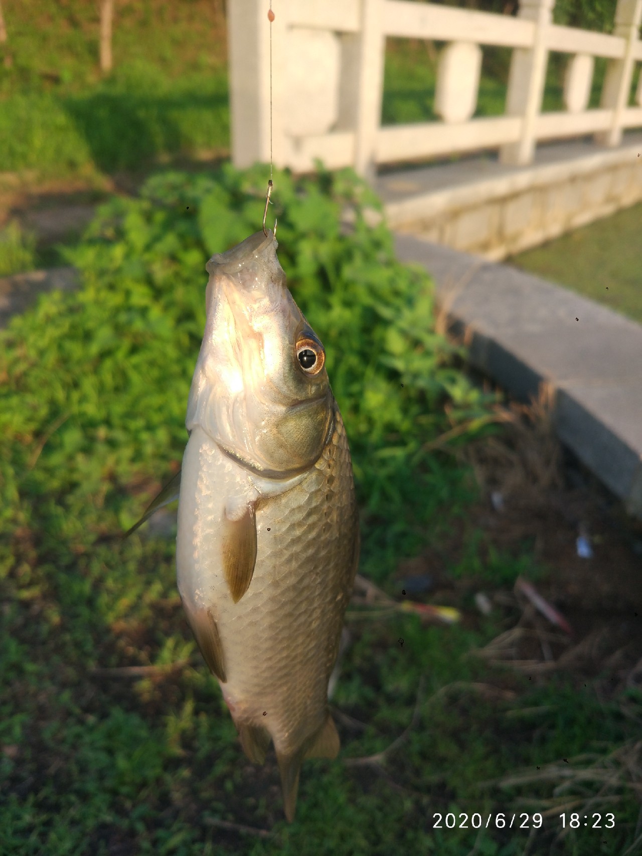 春季雨后初晴钓鱼钓深还是钓浅,雨后钓鱼情况