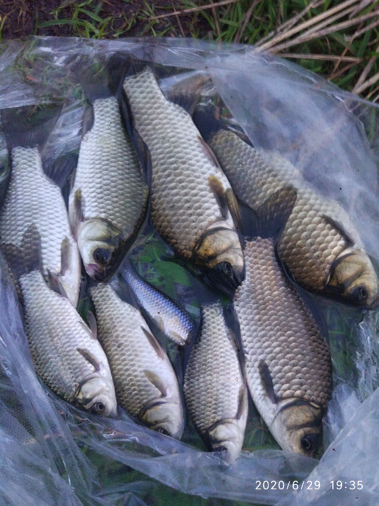 春季雨后初晴钓鱼钓深还是钓浅,雨后钓鱼情况
