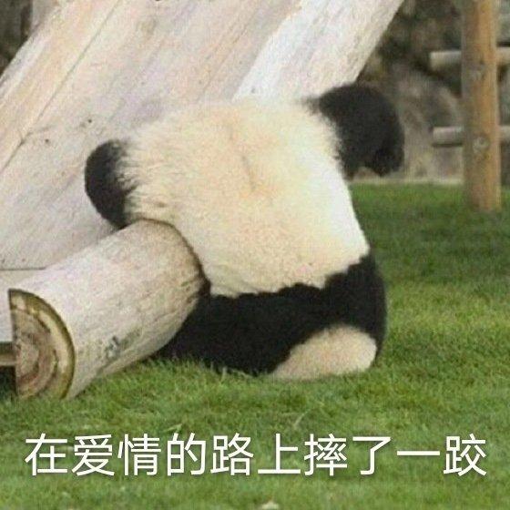 多少人即将得手的爱情,死于这些沙雕回复…