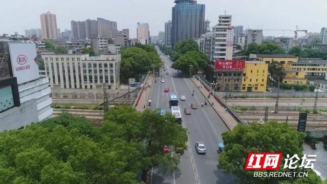 株洲荷塘区新华路实拍,株洲新华路风景图片