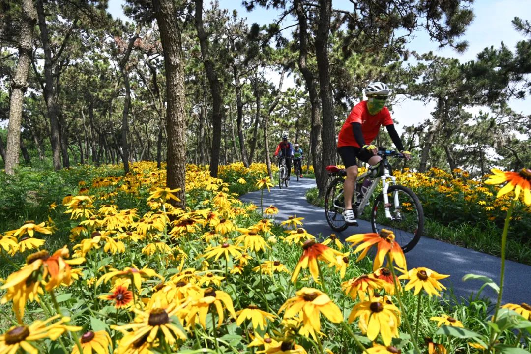活力奔涌！今天，他们在阳光海岸绿道骑行健步