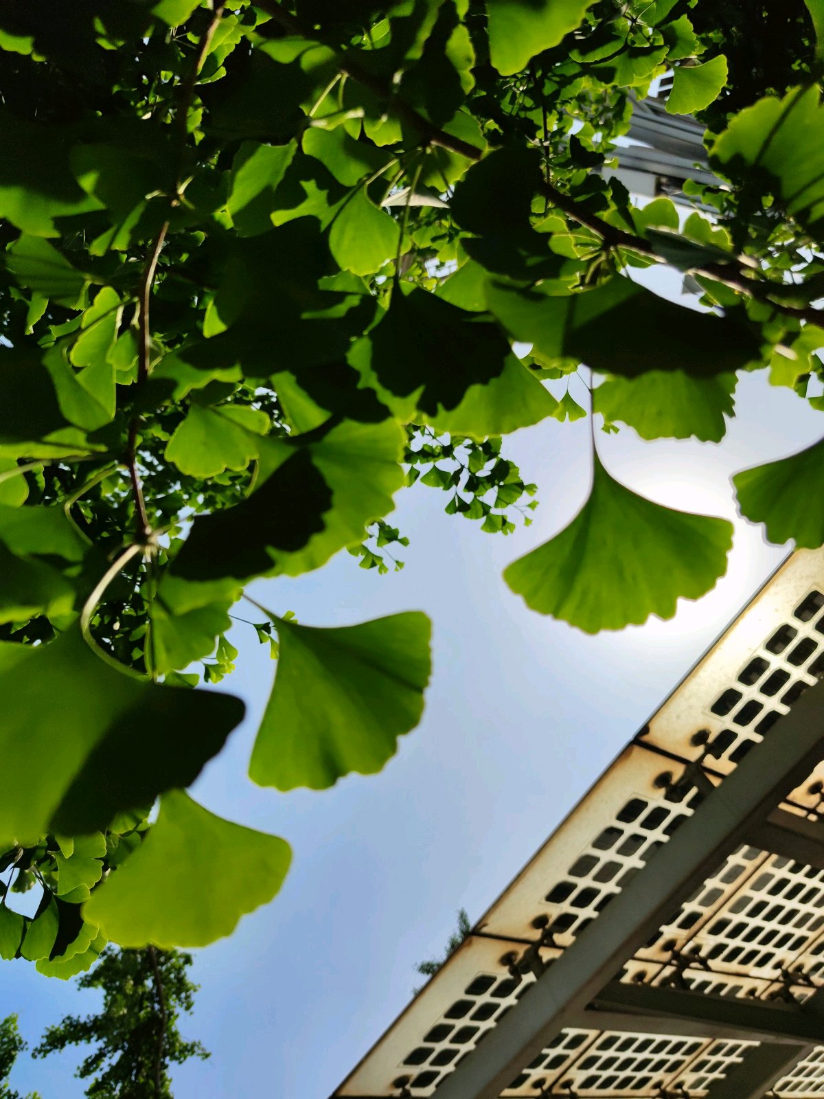 小米10pro相机暗光评测,小米10pro摄像头参数介绍