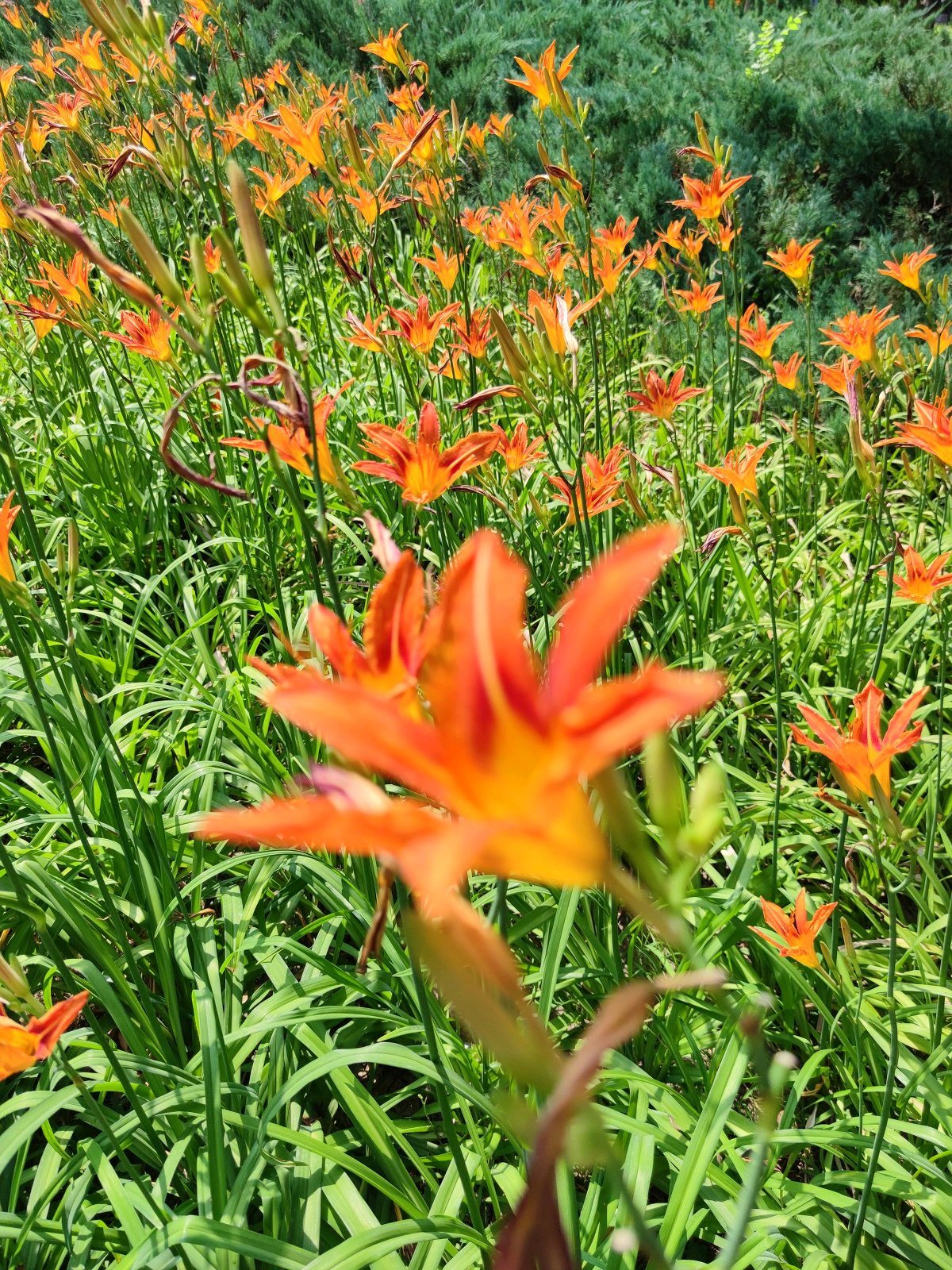 小米10pro相机暗光评测,小米10pro摄像头参数介绍