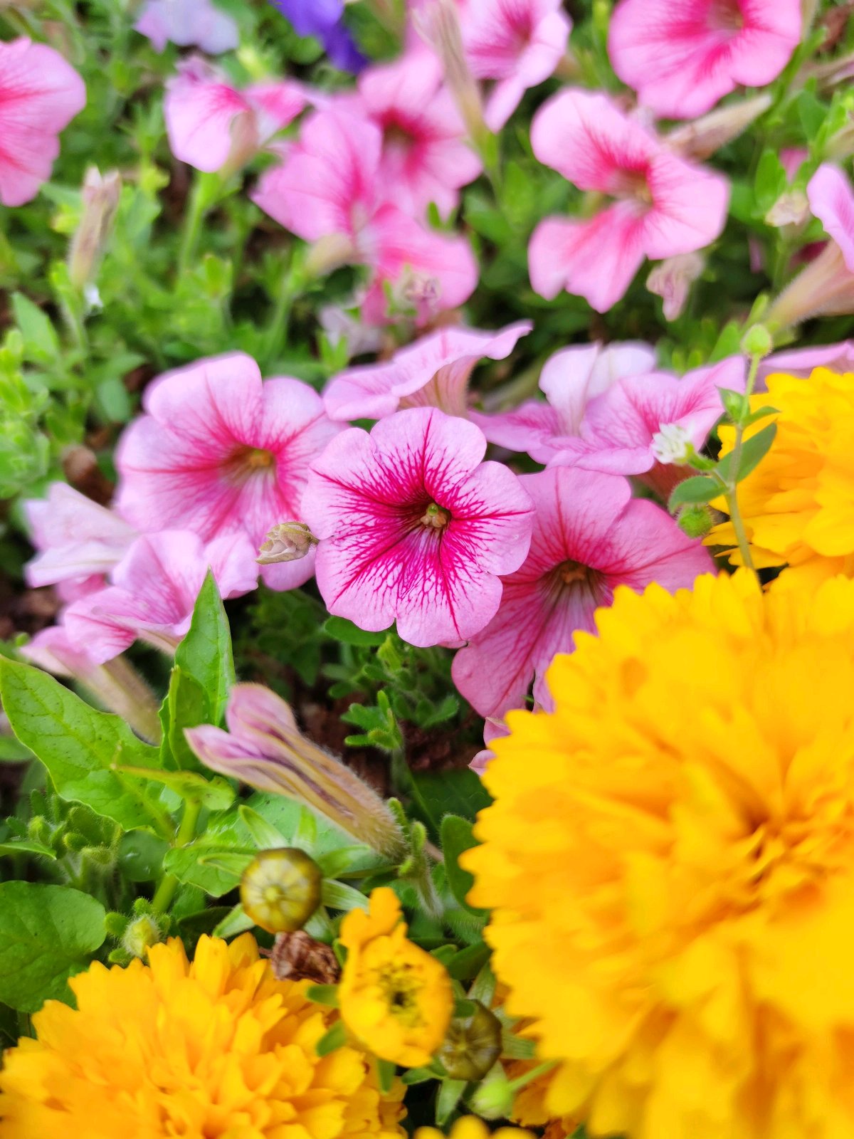 小米10pro相机暗光评测,小米10pro摄像头参数介绍