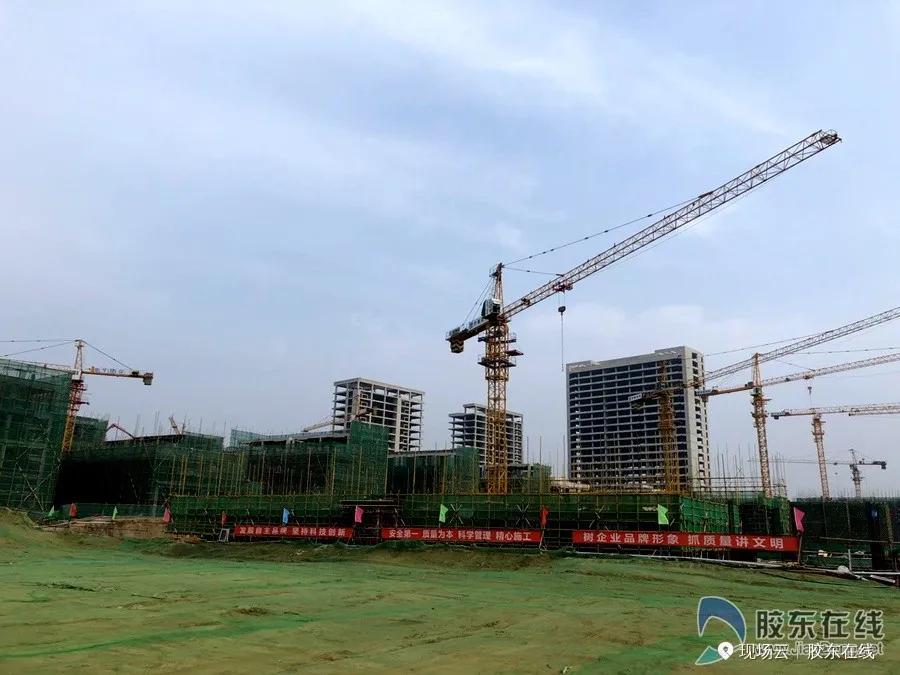 跟着领导去检查项目现场,跟着领导们参观应该站在哪里