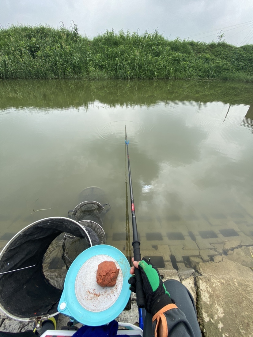 大河一直钓不到鱼,冬天大河钓鱼钓远还是钓近