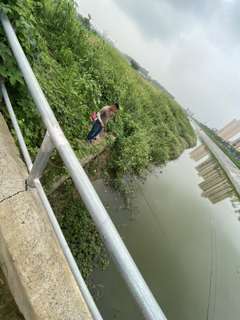 大河一直钓不到鱼,冬天大河钓鱼钓远还是钓近