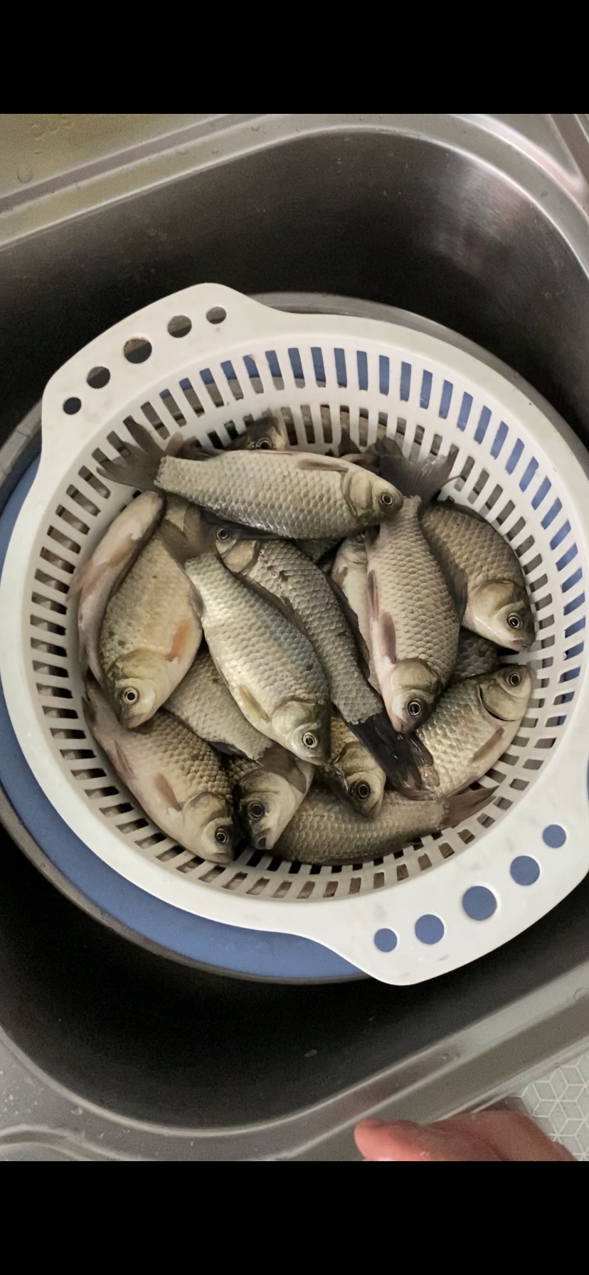 大河一直钓不到鱼,冬天大河钓鱼钓远还是钓近