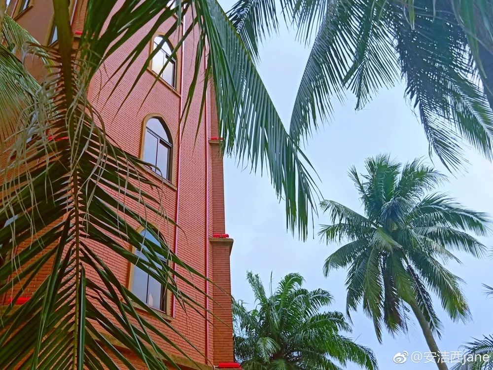 2000块钱无限次飞海南,2000块海南机票