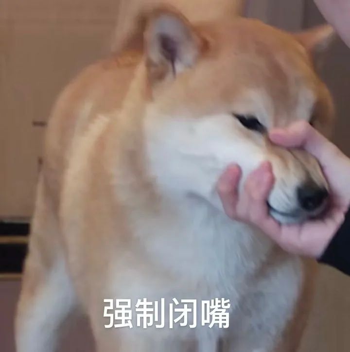 我敢说每个女生都遇到过这个尴尬,这篇帮你解决