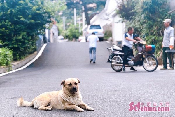 崂山最有情调的民宿,崂山向往小筑民宿