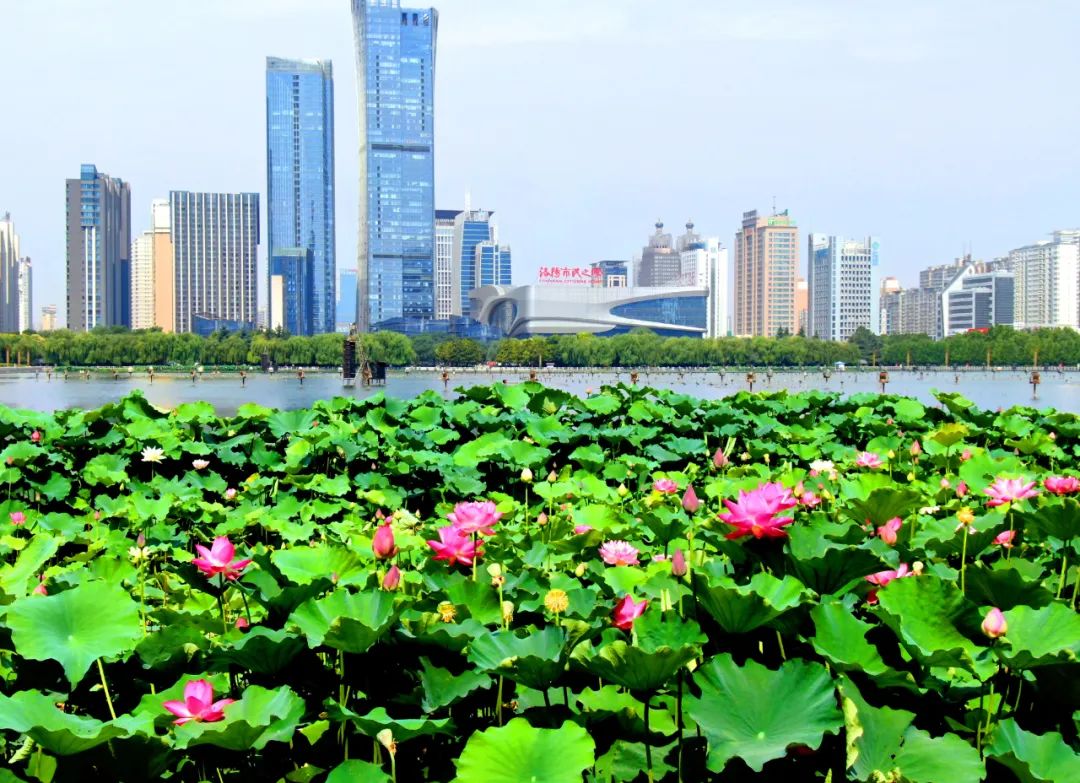 抓住假期尾巴附近景点打卡,抓住周末的小尾巴打卡网红地