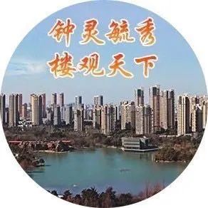 大板房专项治理|七旬老太的“特殊照顾”