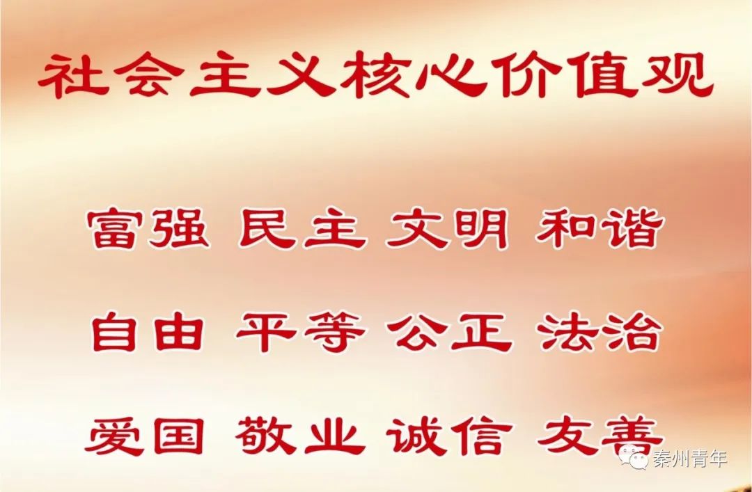 【扬帆计划】听听秦州区暑期实习大学生们的实习心得（一）