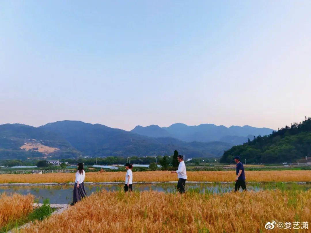 娄艺潇住的哪个酒店,娄艺潇旅游住民宿