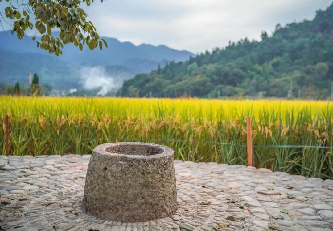 娄艺潇住的哪个酒店,娄艺潇旅游住民宿