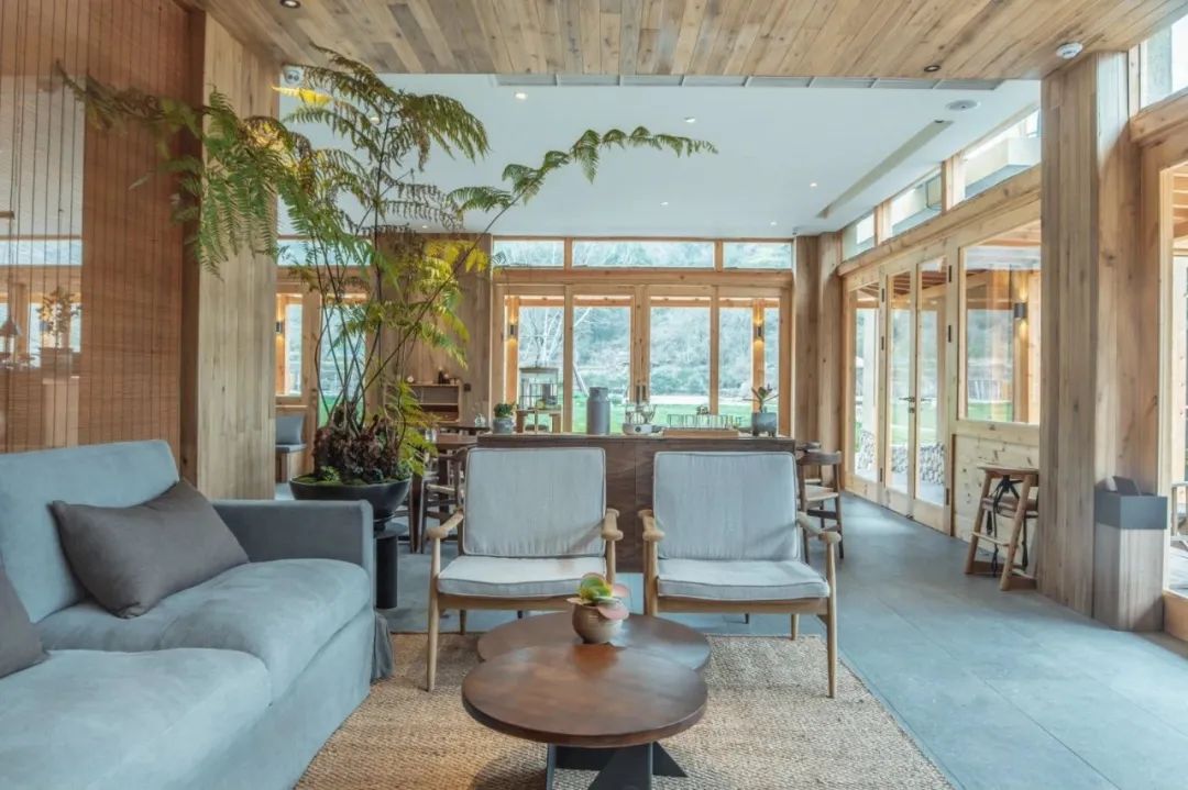 娄艺潇住的哪个酒店,娄艺潇旅游住民宿