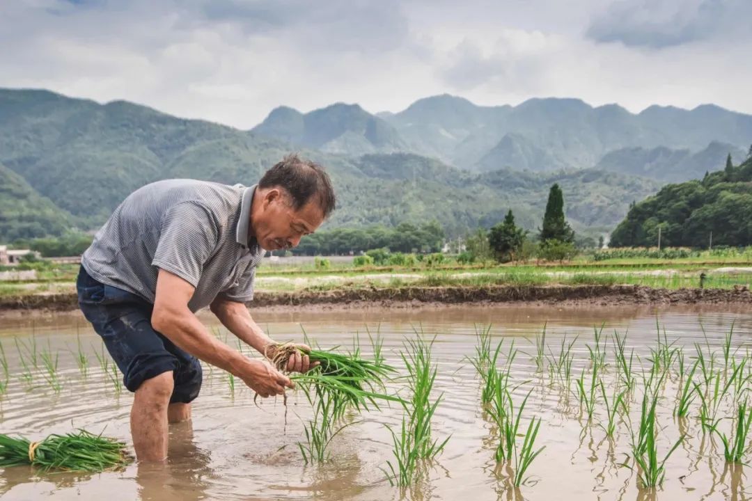 娄艺潇住的哪个酒店,娄艺潇旅游住民宿