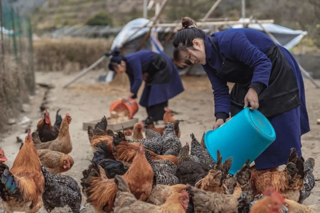 娄艺潇住的哪个酒店,娄艺潇旅游住民宿