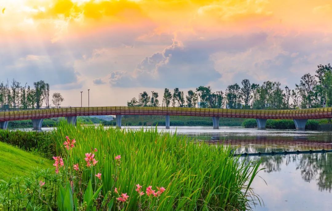 成都绿道潮玩地点推荐,成都绿道附近好玩的地方