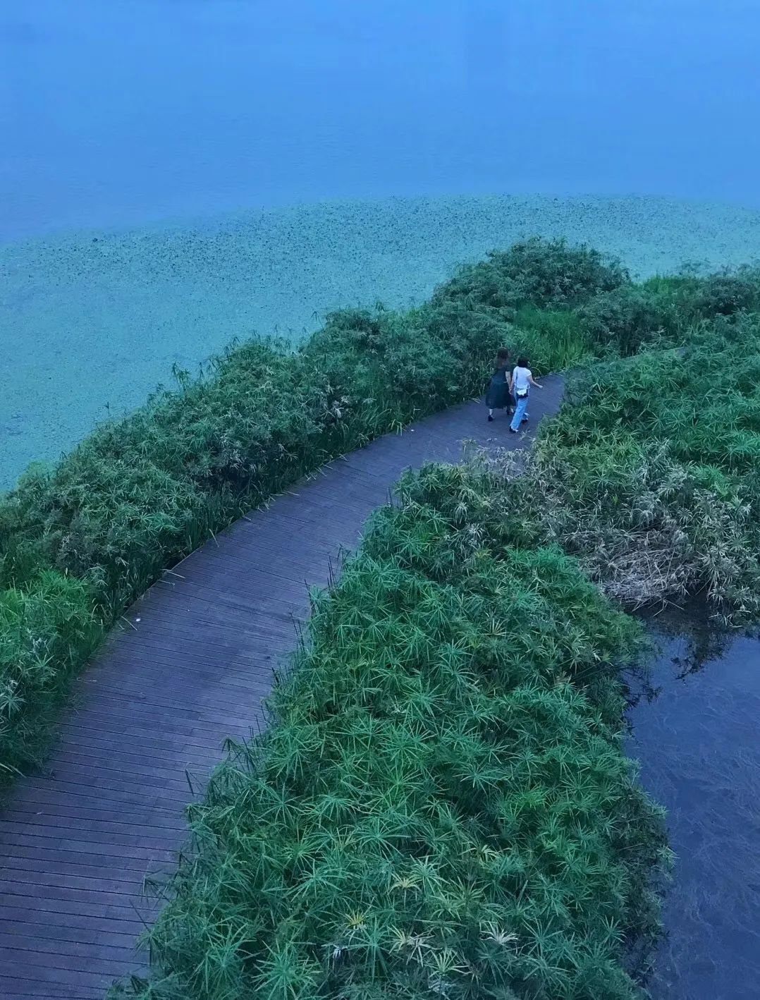 成都绿道潮玩地点推荐,成都绿道附近好玩的地方