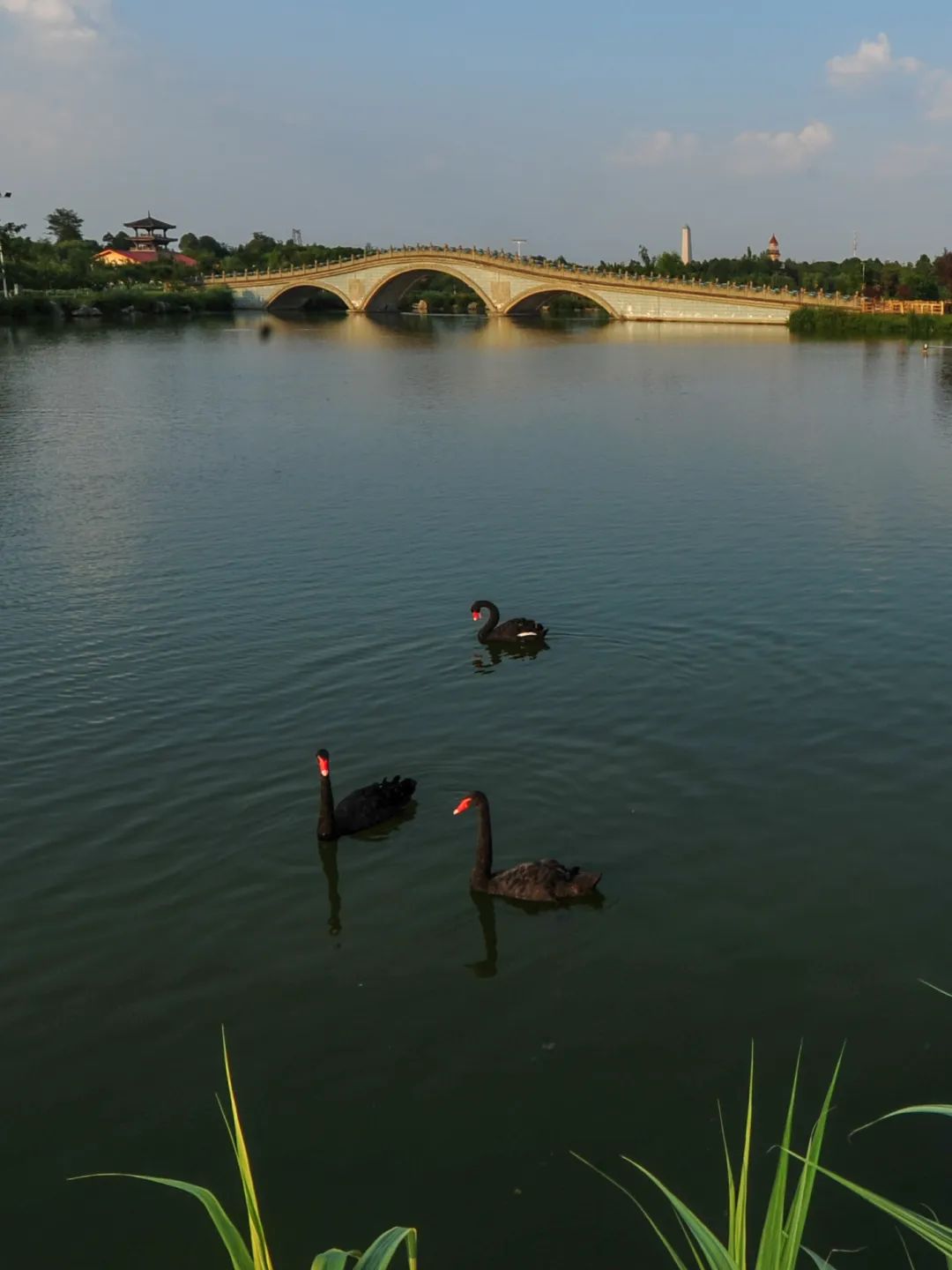 成都绿道潮玩地点推荐,成都绿道附近好玩的地方