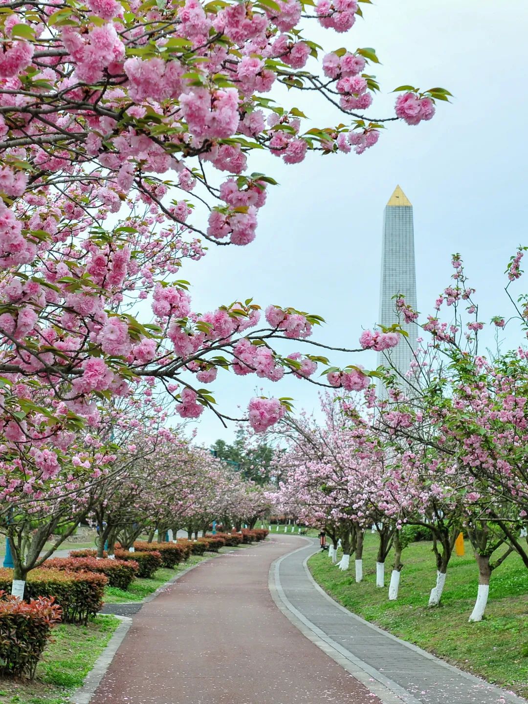 成都绿道潮玩地点推荐,成都绿道附近好玩的地方