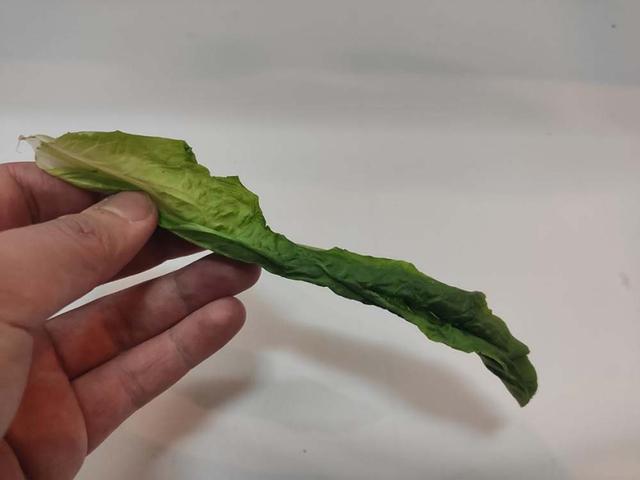 美的472升冰箱真实评测,美的519升冰箱功率大吗