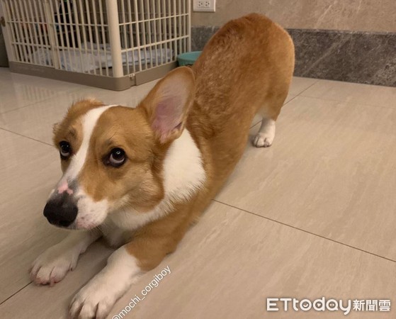 起床拉伸骨头咔咔响,起床拉筋运动