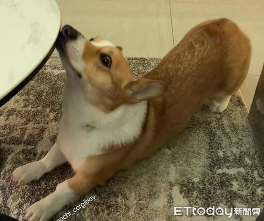 起床拉伸骨头咔咔响,起床拉筋运动