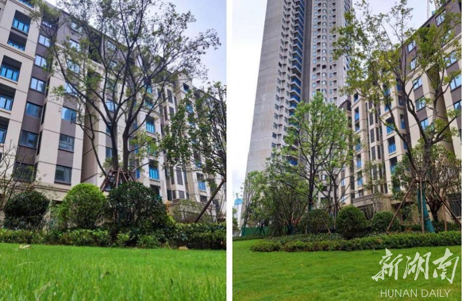 长沙万科精装三房,长沙万科紫台三期