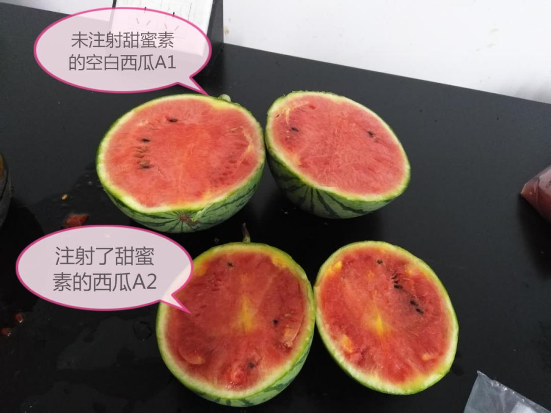 西瓜太甜打了药吗,西瓜太甜打增甜剂了吗