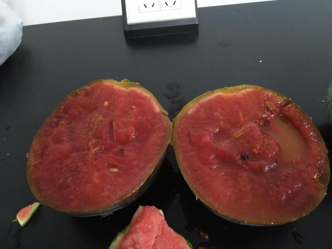 西瓜太甜打了药吗,西瓜太甜打增甜剂了吗