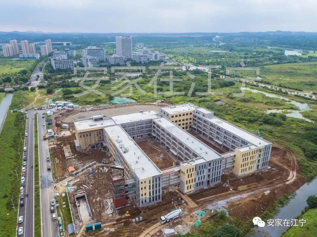 南京刚需盘房价,南京房价最坚挺的板块