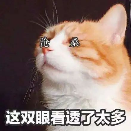 诺基亚目前盈利情况,死掉的诺基亚一年躺赚1500亿