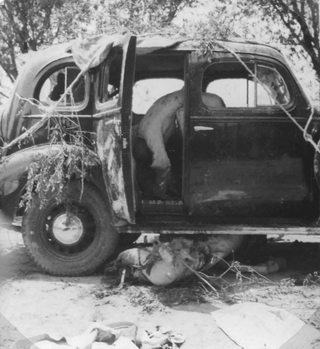 热爱和平但从未畏惧战争,因为热爱和平所以回望战争