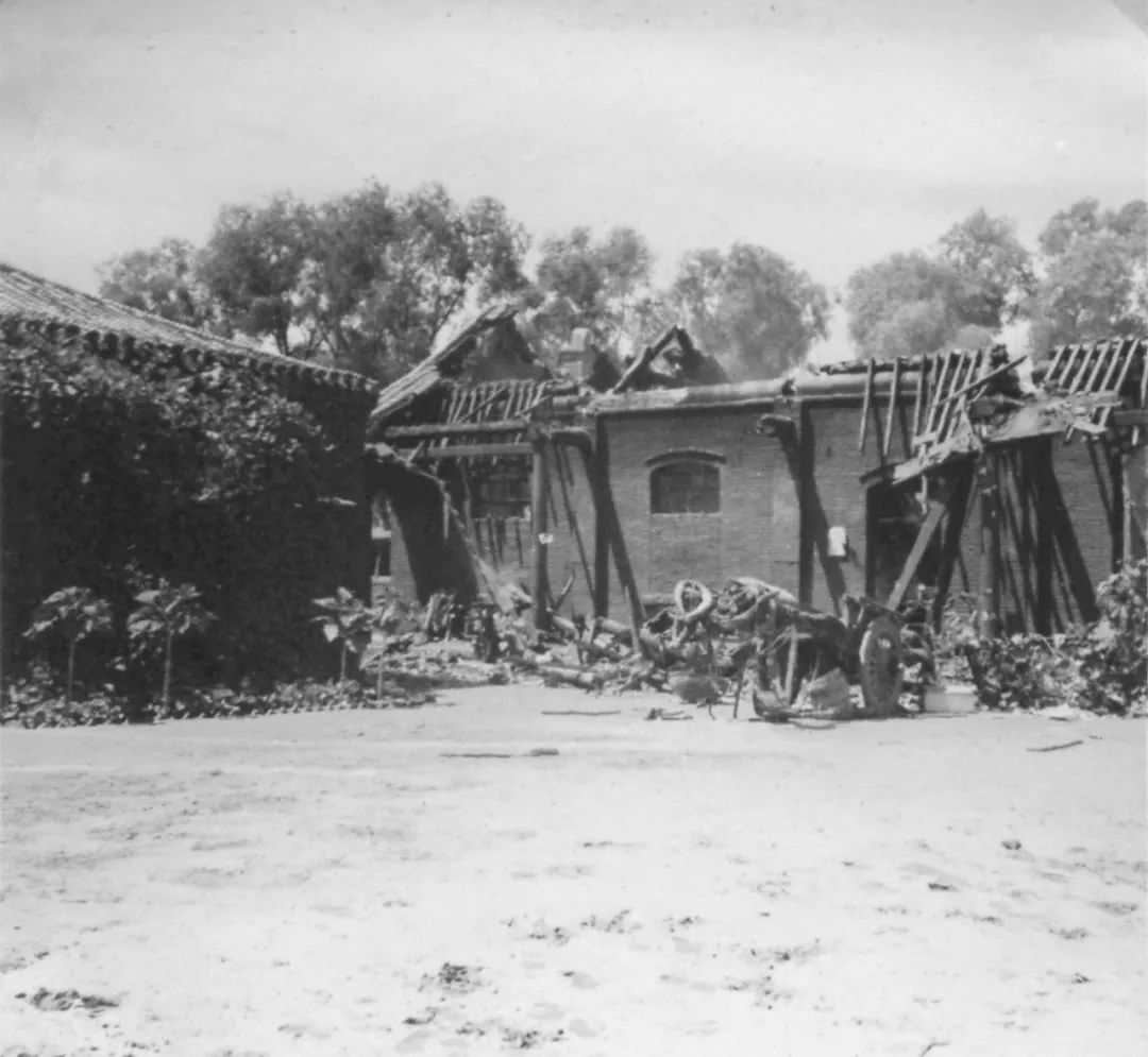 热爱和平但从未畏惧战争,因为热爱和平所以回望战争