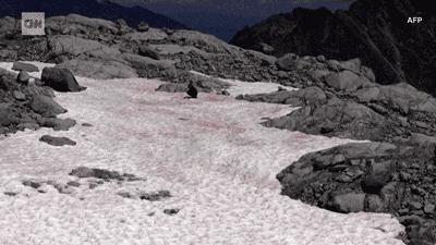 阿尔卑斯自行车雪崩,阿尔卑斯山历史事件