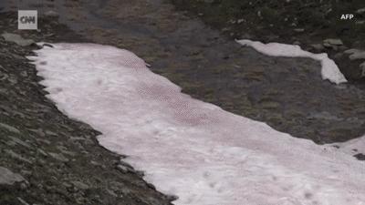 阿尔卑斯自行车雪崩,阿尔卑斯山历史事件