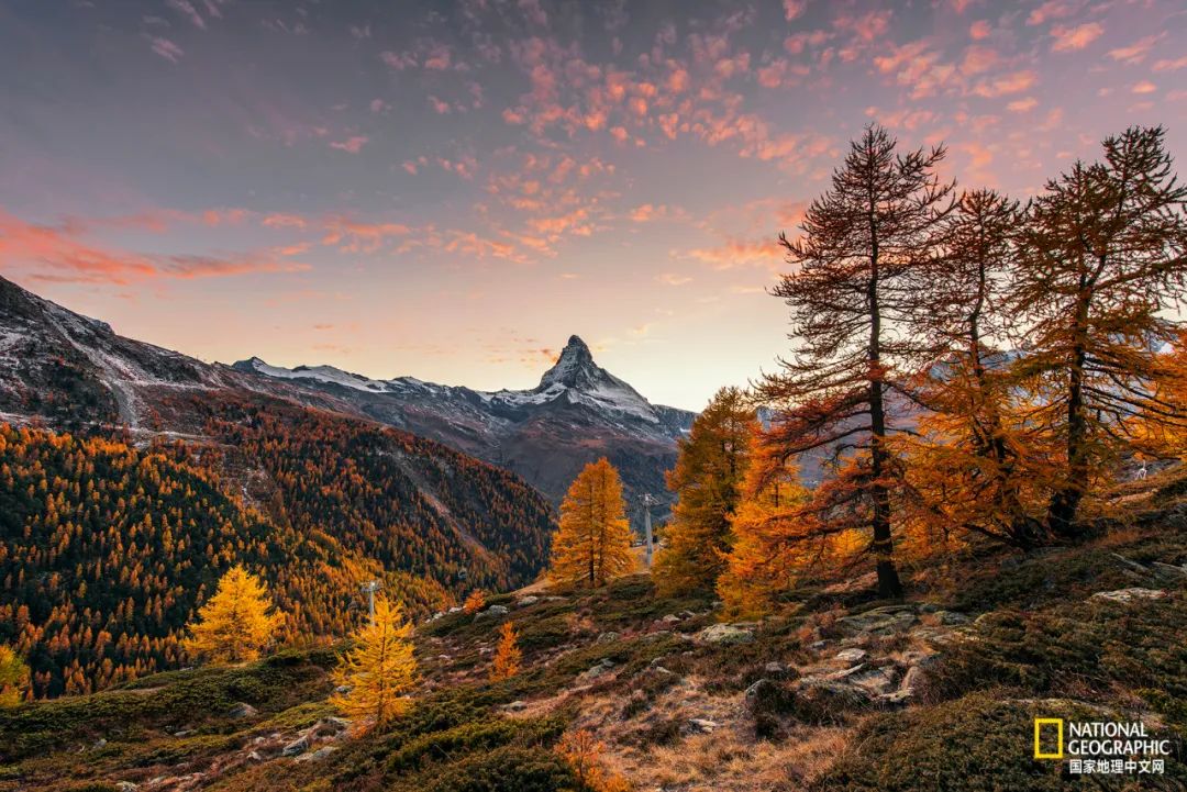 阿尔卑斯自行车雪崩,阿尔卑斯山历史事件