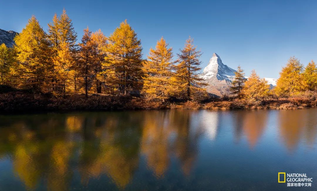 阿尔卑斯自行车雪崩,阿尔卑斯山历史事件