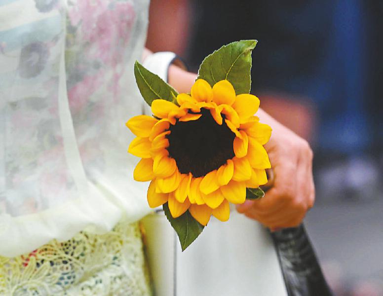 自画像作文写给高一新生的一封信,关于如何为自己画像的高中作文